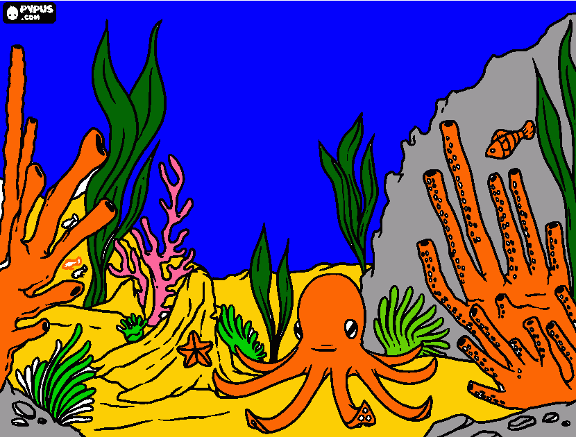 Barrera coral de Australia para colorear
