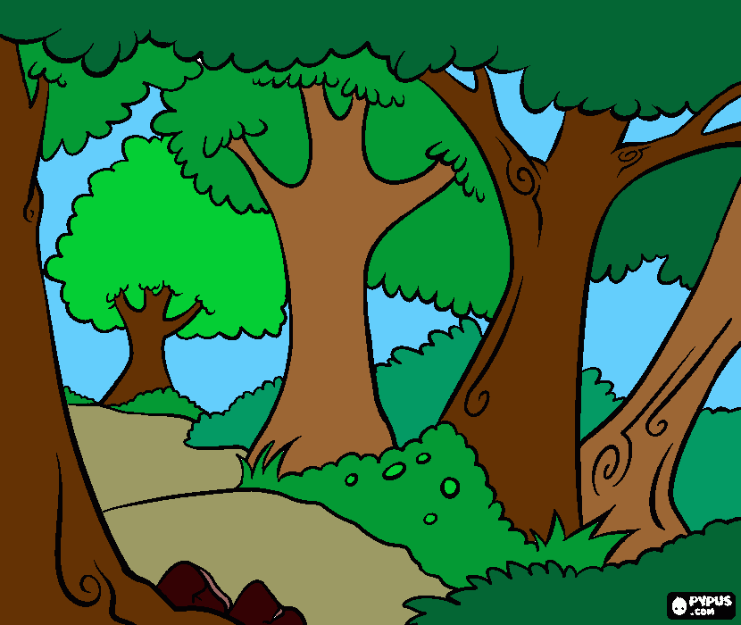 BOSQUE para colorear