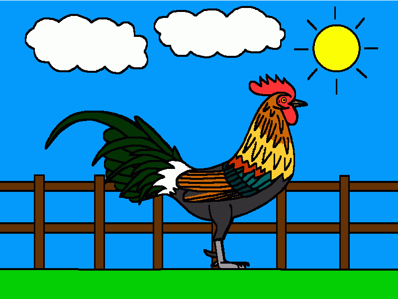 gallo en el patio del corral para colorear