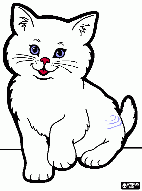 galjoen coloring pages for kids - photo #5