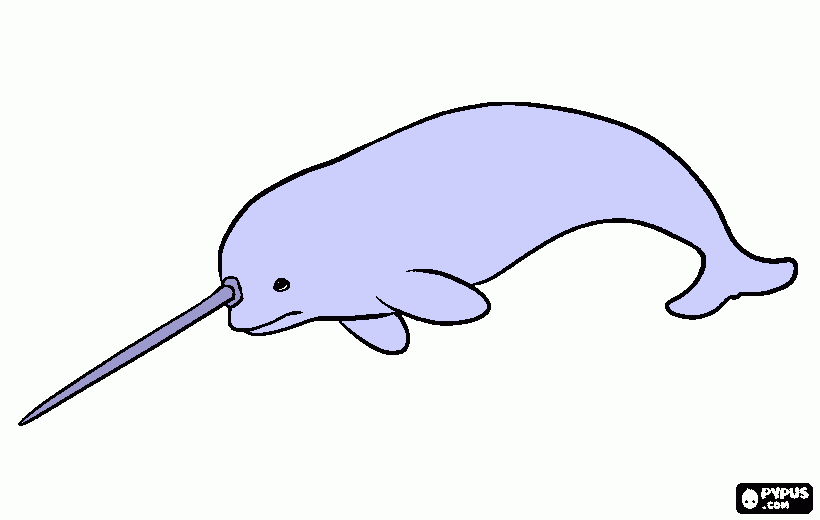 The