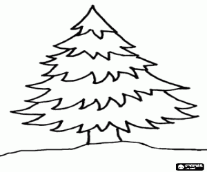 Colorear Abeto - �rbol de navidad
