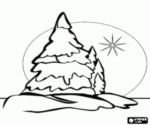 Colorear Abetos de Navidad en un paisaje nevado y con la estrella en el cielo