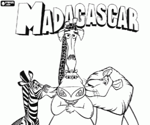 Colorear Alex, Marty, Melman y Gloria, los animales protagonistas de las aventuras de Madagascar