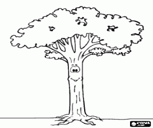 Colorear �rbol alto y con largo tronco