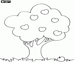 Colorear �rbol con frutos, �rbol de copa redondeada