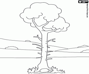 Colorear �rbol solitario en un paisaje con poca vegetaci�n