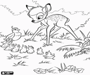Colorear Bambi observando el paso de una codorniz americana con sus cr�as