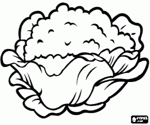 Colorear Coliflor