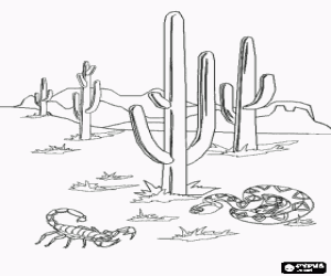 Colorear Desierto de Sonora con los famosos cactus saguaro, un escorpi�n y una serpiente