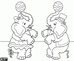 Colorear Dos elefantes del circo haciendo malabarismos con la trompa y una pelota