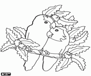 Colorear Dos pajaritos enamorados en una rama