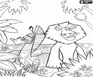 Colorear El le�n Alex y la cebra Marty perdidos en la selva