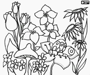 Colorear Flores primaverales variadas, una de ellas con una oruga, y una seta