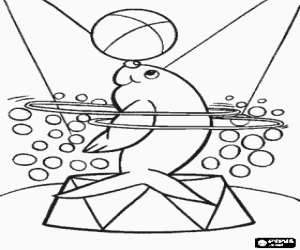 Colorear Foca haciendo un ejercicio en el circo con aros dando vueltas al cuerpo y pelota en el morro