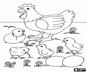 Colorear Gallina con sus pollitos y sus huevos en el campo 