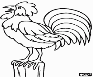 Colorear Gallo cacareando
