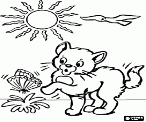 Colorear Gatito jugando con una mariposa