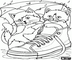 Colorear Gatitos jugando bajo la lluvia con una zapatilla de deporte