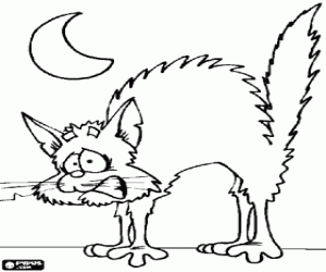 Colorear Gato asustado, con el cuerpo arqueado y los pelos de punta