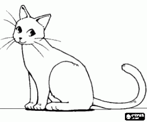 Colorear Gato moviendo la cola, visto de perfil 