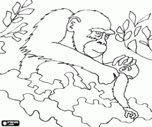 Colorear Gorila con su cr�a entre las plantas