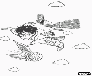 Colorear Harry Potter jugando al Quidditch con su escoba m�gica como cazador intentando atrapar la bola