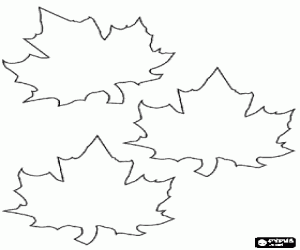Colorear Hojas ca�das de arce, esta hoja forma parte de la bandera y es un s�mbolo nacional de Canad�