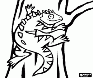 Colorear Iguana en el tronco de un �rbol