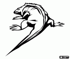 Colorear Iguana
