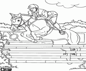 Colorear Jinete y caballo participando en un concurso de saltos