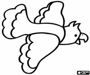 Colorear Loro volando