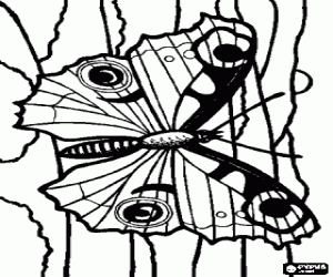Colorear Mariposa sobre un tronco