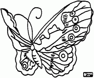 Colorear Mariposa volando