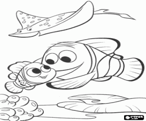 Colorear Marlin y Nemo bajo la mirada del maestro Mr.Ray