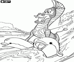 Colorear Marty la cebra haciendo surf con la ayuda de los delfines