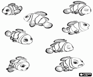 Colorear Nemo, el protagonista de una extraordinaria aventura