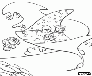 Colorear Nemo y sus amiguitos de la escuela bajo la protecci�n del Maestro Raya mientras este est� hablando con Marlin
