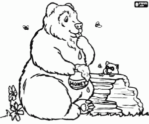 Colorear Oso comiendo miel