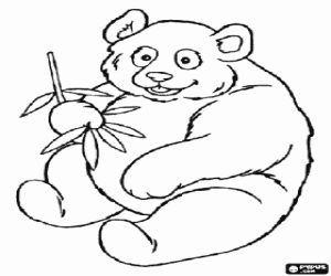 Colorear Oso panda gigante