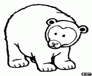Colorear Oso