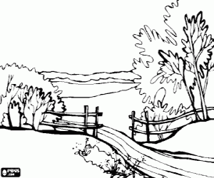 Colorear Paisaje con �rboles, un camino y una valla de madera