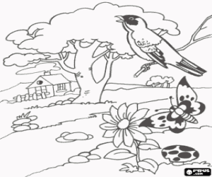 Colorear Paisaje primaveral con una casita, un �rbol, un p�jaro cantando, una mariposa y una flor