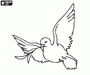 Colorear Paloma de la Paz, una paloma blanca es el s�mbolo cristiano y judio tradicional para el amor y la paz
