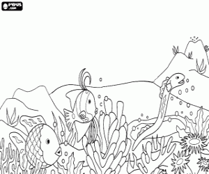 Colorear Peces en el fondo del mar entre ellos una anguila