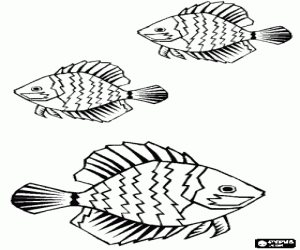 Colorear Peces rayados con grandes aletas