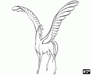 Colorear Pegaso, el caballo alado, un regalo de Zeus a su hijo H�rcules