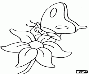 Colorear Peque�a mariposa se posa sobre una flor