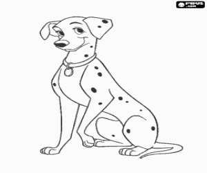 Colorear Perra d�lmata