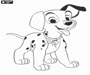 Colorear Perrito d�lmata